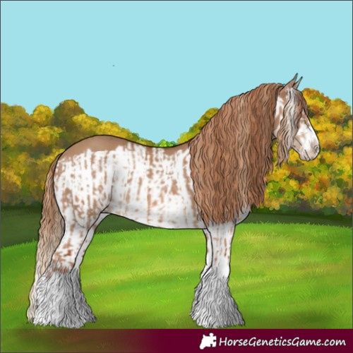 Horse Color:Red Dun Splash  and Red Dun Splash Frame 