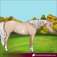 Horse Color:Silver Blue Roan Pearl Tobiano Frame 