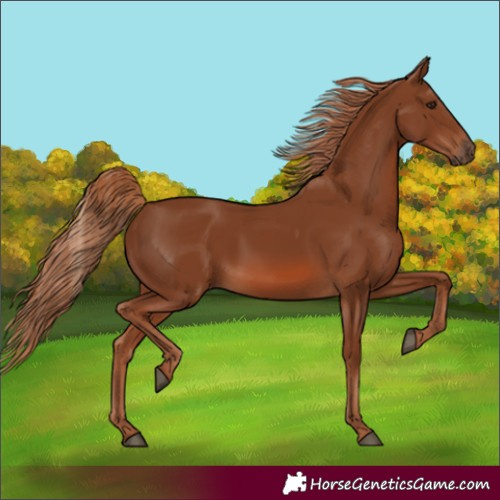 Horse Color:Chestnut 