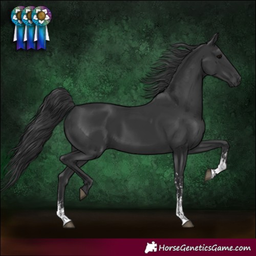 Horse Color:Black Sabino Rabicano 