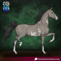 Horse Color:Grullo Sabino Rabicano 