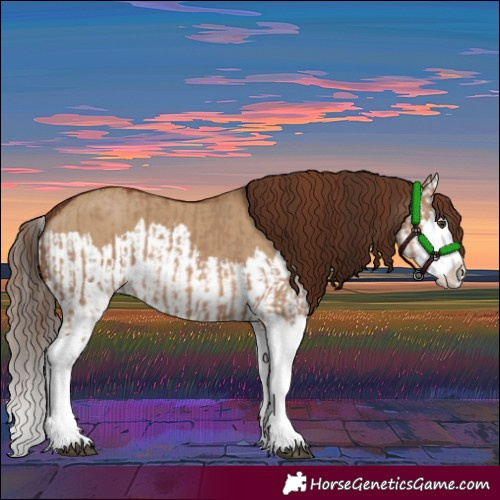 Horse Color:Red Dun Splash and Gray Red Dun Splash