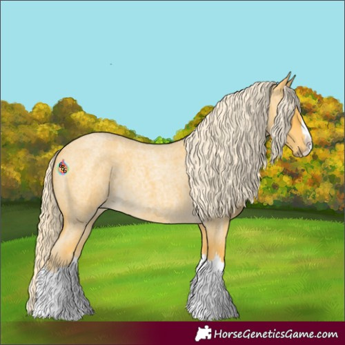 Horse Color:Palomino Roan Splash
