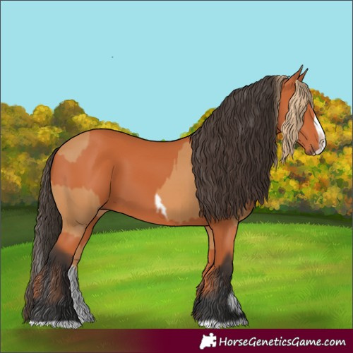 Horse Color:Chestnut Splash Frame  and Bay Splash Frame 