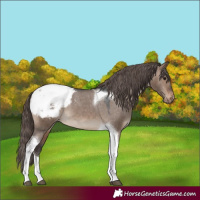 Horse Color:Brown Dun Tobiano Snowcap 