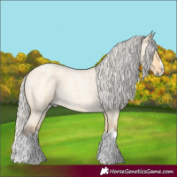 Horse Color:Silver Buckskin Roan Splash
