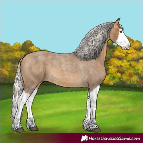 Horse Color:Silver Buckskin Roan Splash