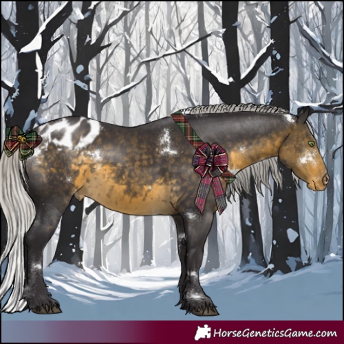 Horse Color:White Spotted Silver Buckskin Appaloosa Rabicano 