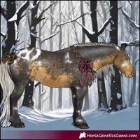 Horse Color:White Spotted Silver Buckskin Blanket Rabicano 