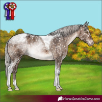 Horse Color:Silver Brown Dun Mushroom Tobiano Blanket Brindle