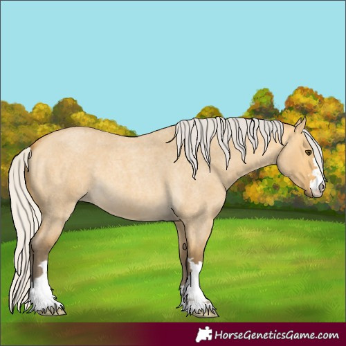 Horse Color:Silver Buckskin Roan Dun 