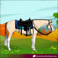 Horse Color:Buckskin Roan Splash