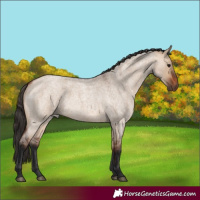 Horse Color:Bay Roan Dun 