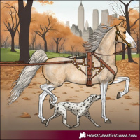 Horse Color:Silver Buckskin Roan Splash