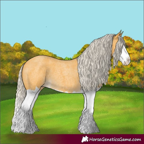 Horse Color:Silver Buckskin Roan Splash 