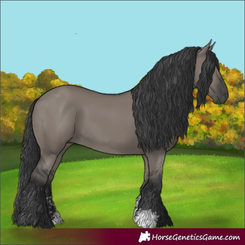 Horse Color:Grullo Sabino Rabicano 