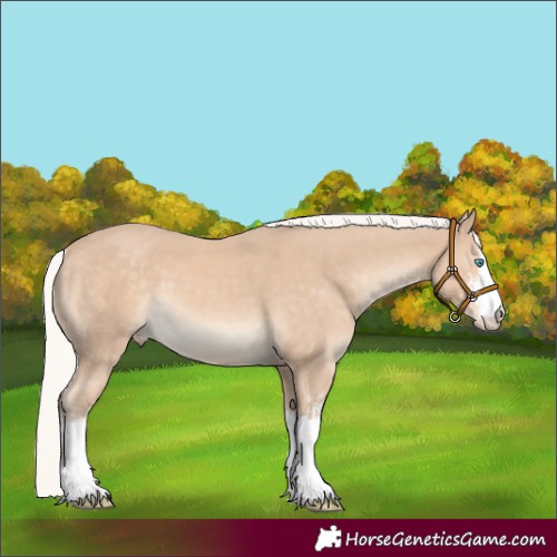 Horse Color:White Spotted Silver Smoky Creme 