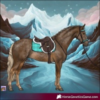 Horse Color:Chocolate Palomino