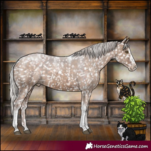 Horse Color:Powder White Silver Brown Dun Splash Tobiano Appaloosa Rabicano Brindle 