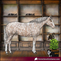 Horse Color:Powder White Silver Brown Dun Splash Tobiano Appaloosa Rabicano Brindle
