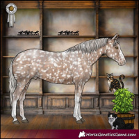 Horse Color:Powder White Silver Brown Dun Splash Tobiano Snowflake VarnishRabicano Brindle