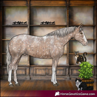 Horse Color:Powder White Silver Brown Dun Splash Tobiano Appaloosa Rabicano Brindle 