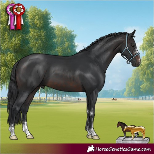 Horse Color:Brown 