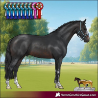 Horse Color:Brown 
