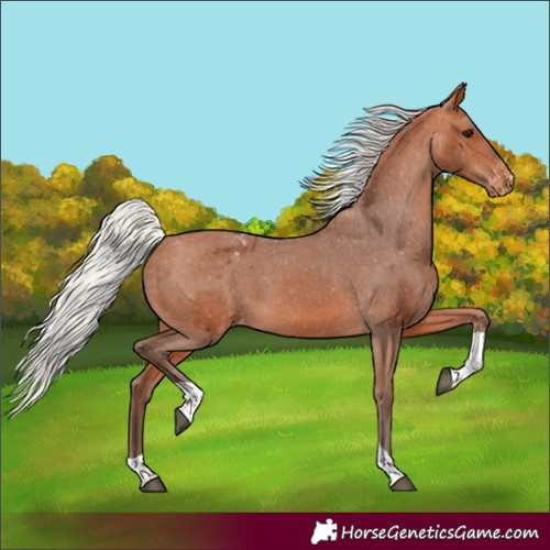 Horse Color:Silver Bay Tobiano Varnish 
