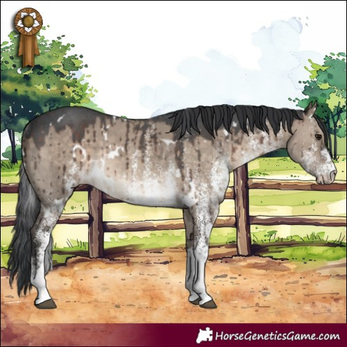 Horse Color:White Spotted Brown Dun Rabicano Brindle 