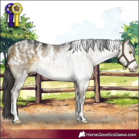 Horse Color:Powder White White Spotted Buckskin Dun Rabicano
