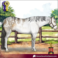 Horse Color:Powder White White Spotted Buckskin Dun Rabicano 