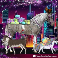 Horse Color:Silver Buckskin Tobiano Appaloosa Rabicano 