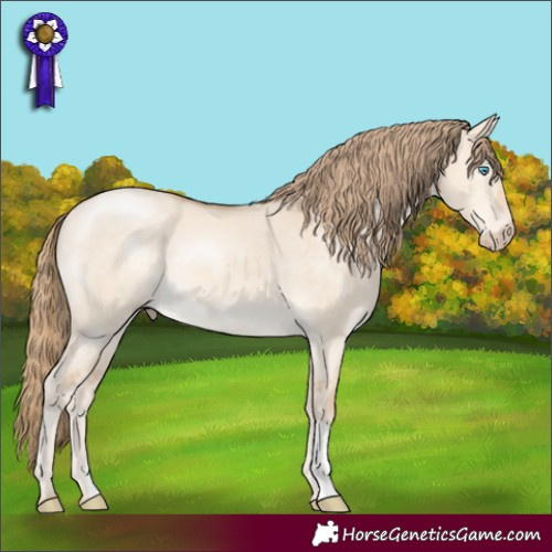 Horse Color:Perlino Dun