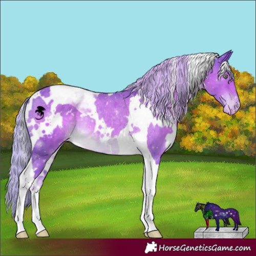 Horse Color:Watercolor White Spotted Chocolate Palomino Tobiano Appaloosa Rabicano 