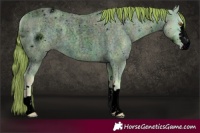 Horse Color:ERROR: UNKNOWN ANOMALY