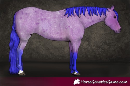 Horse Color:Watercolor Bay Roan 