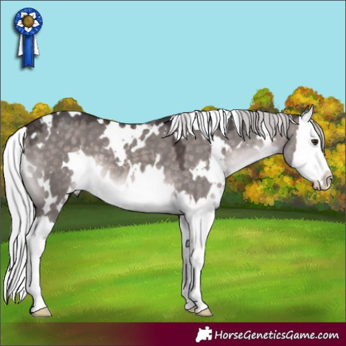 Horse Color:Platinum White Spotted Silver Brown Dun Splash 