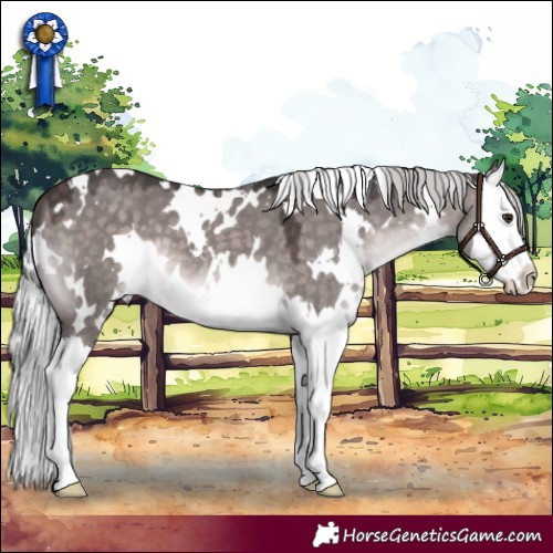 Horse Color:Platinum White Spotted Silver Brown Dun Splash 
