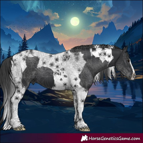 Horse Color:Black Tobiano  and Black Tobiano 