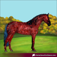 Horse Color:ERROR: UNKNOWN ANOMALY