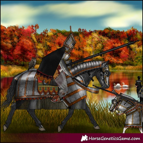 Horse Color:Black and Gray Black