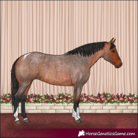 Horse Color:Bay Roan Tobiano 