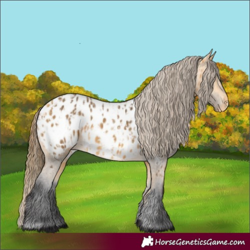 Horse Color:Buckskin Appaloosa  and Buckskin Appaloosa 