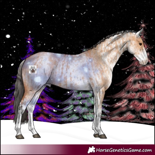 Horse Color:White Spotted Bay Dun Rabicano  and White Spotted Bay Dun Rabicano 