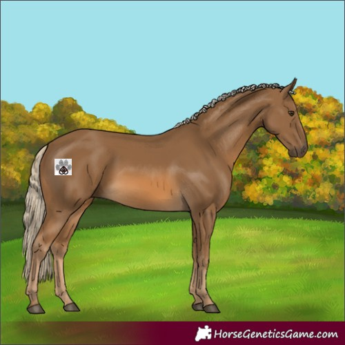 Horse Color:Chocolate Palomino 