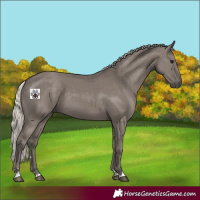 Horse Color:Silver Grullo