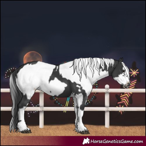 Horse Color:Black Frame  and White Spotted Black Frame 