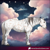 Horse Color:Bay Leopard