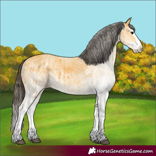Horse Color:White Spotted Buckskin Splash and White Spotted Buckskin Splash Rabicano